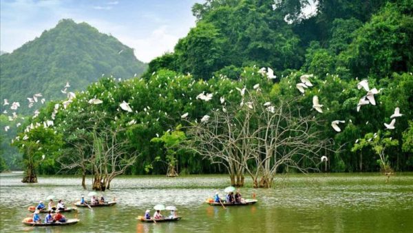 Tour Bái Đính – Bích Động – Thung Nham 1 Ngày