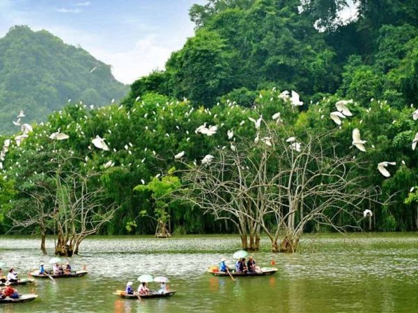 Tour Bái Đính – Bích Động – Thung Nham 1 Ngày