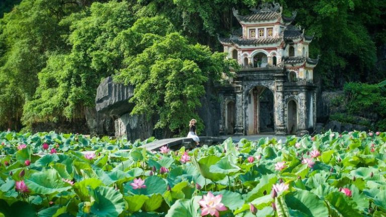 Tour Bái Đính – Bích Động – Thung Nham 1 Ngày