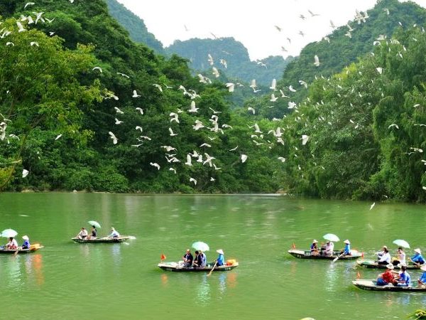 Tour Hoa Lư – Bích Động – Thung Nham 1 ngày